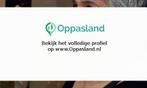 Ik ben Elizabeth, 62 jaar oud en ik zoek oppaswerk in Haa..., Diensten en Vakmensen, Dieren | Katten | Verzorging, Oppas en Les