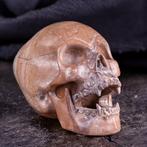 Jasper vampierschedel – Duistere charme en unieke details