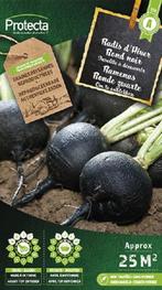 Protecta Groente zaden: Rammenas ronde zwarte, Tuin en Terras, Bloembollen en Zaden, Ophalen of Verzenden