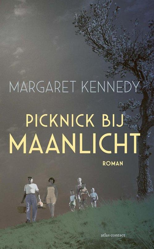 9789025476335 Picknick bij maanlicht | Tweedehands, Boeken, Romans, Zo goed als nieuw, Verzenden