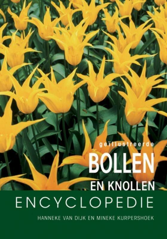Geïllustreerde bloembollen encyclopedie (9789036613057), Boeken, Natuur, Nieuw, Verzenden