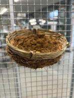4340 kanarie nest cocos pitriet klein, Ophalen of Verzenden, Nieuw