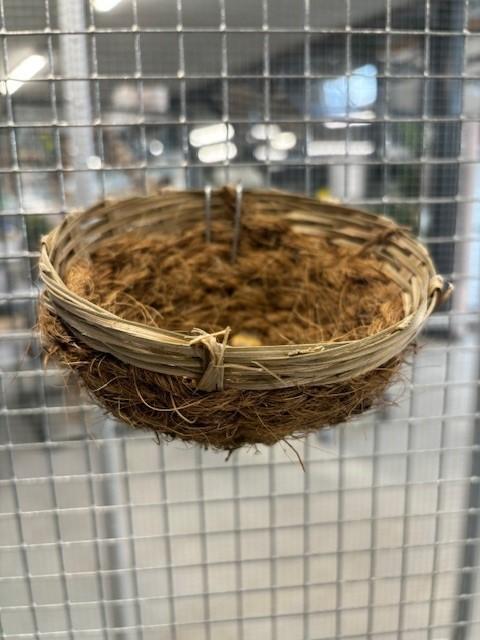4340 kanarie nest cocos pitriet klein, Dieren en Toebehoren, Vogels | Hokken en Kooien, Nieuw, Ophalen of Verzenden