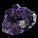 Wonderlijke dieppaarse kubieke fluoriet. van Muzquiz -, Verzamelen, Mineralen en Fossielen