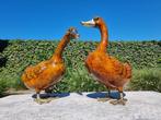 sculptuur, Duck Couple - 43 cm - Brons, Antiek en Kunst