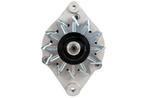 Dynamo / Alternator NISSAN PRIMERA (1.6), Ophalen of Verzenden, Nieuw
