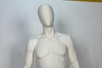 Genesis Display - Mannequin - Design Torso - Plastic