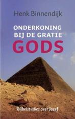 Onderkoning bij de gratie Gods 9789029796477 Henk Binnendijk, Boeken, Verzenden, Zo goed als nieuw, Henk Binnendijk