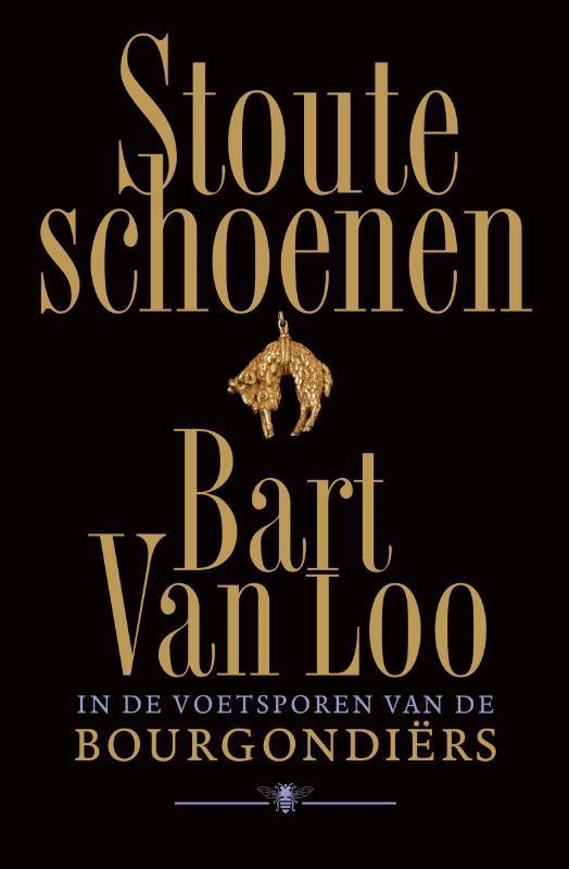 Stoute Schoenen | Bart van Loo, Boeken, Overige Boeken, Nieuw, Ophalen of Verzenden