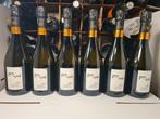2006 Jacques Copin, Polyphénols - Champagne Brut - 6 Flessen, Nieuw