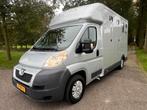 Mooie Peugeot paardenwagen te koop! Uit 2010., Dieren en Toebehoren, Paarden en Pony's | Trailers en Aanhangwagens, Ophalen, Zo goed als nieuw