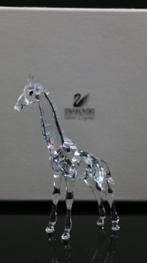 Figuur - Swarovski - Giraffe (Boxed) - Kristal, Antiek en Kunst