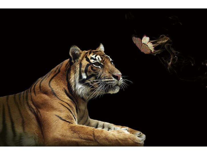 Glasschilderij Tijger | 716, Huis en Inrichting, Woonaccessoires | Overige, Nieuw, Ophalen of Verzenden