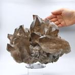 Museaal rookkleurig kwarts uit Monte Bianco, kristallen van, Verzamelen