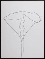Ellsworth Kelly (1923-2015) - Lotus