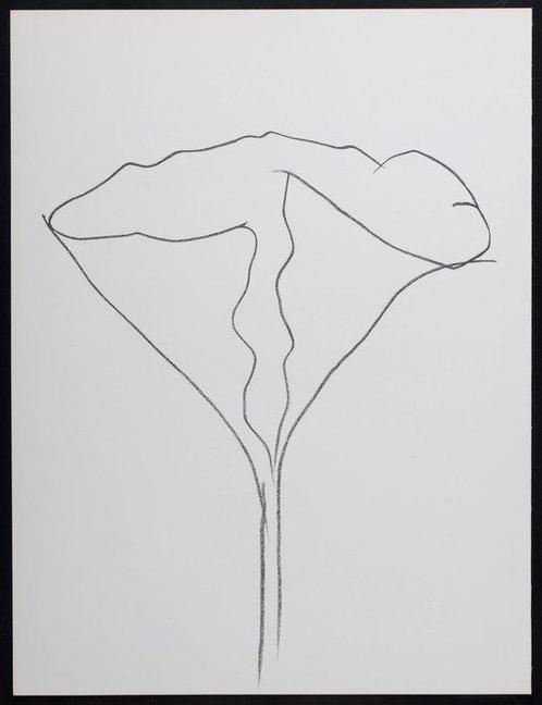 Ellsworth Kelly (1923-2015) - Lotus, Antiek en Kunst, Antiek | Overige Antiek
