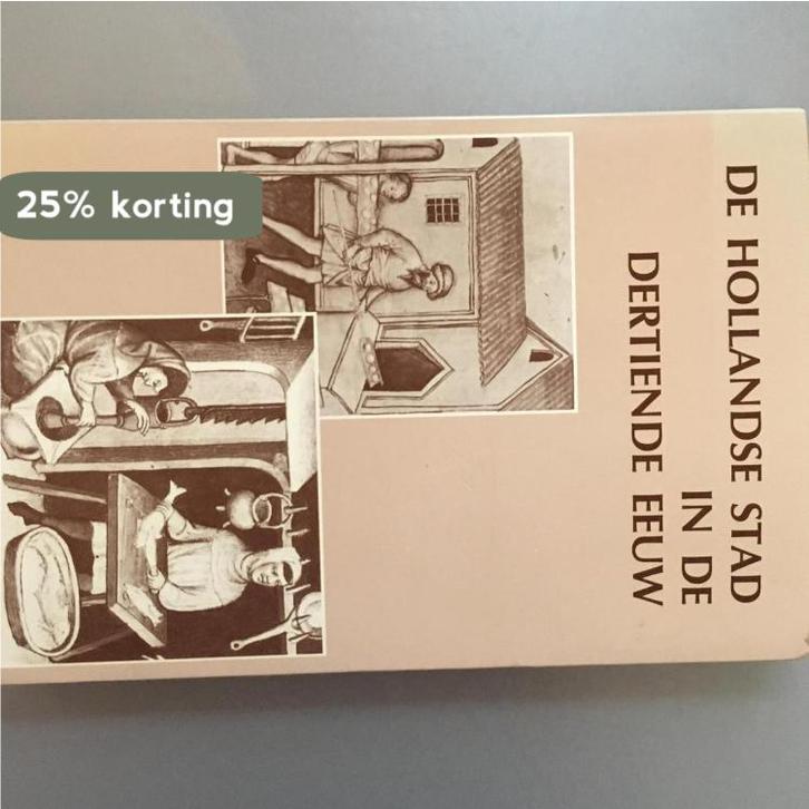 De Hollandse stad in de dertiende eeuw / Stichting Comité, Boeken, Geschiedenis | Wereld, Gelezen, Verzenden