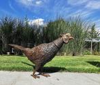 sculptuur, Lifelike Phaesant - 75 cm - 34 cm - Brons