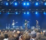 DIIV Tickets Paard Te Koop
