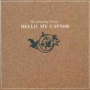 cd - The Amazing Pilots - Hello My Captor, Cd's en Dvd's, Cd's | Rock, Zo goed als nieuw, Verzenden