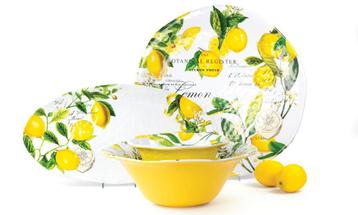 Luxe picknick servies - onbreekbaar servies voor buiten beschikbaar voor biedingen