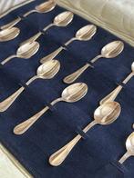 Lepel (12) - .800 zilver - Set van theelepels