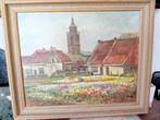 S,v.Noort (XX) - Bloembollen velden in / bij dorp