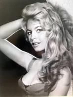 Fuji Crystall Archive PD Photografic - Brigitte Bardot Sexy, Antiek en Kunst, Kunst | Tekeningen en Foto's