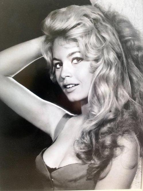 Fuji Crystall Archive PD Photografic - Brigitte Bardot Sexy, Antiek en Kunst, Kunst | Tekeningen en Foto's