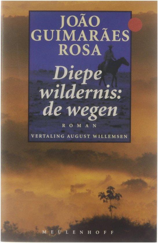 Diepe Wildernis : de wegen, Boeken, Overige Boeken, Ophalen of Verzenden