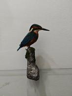 IJsvogel Taxidermie volledige montage - Alcedo atthis - with, Verzamelen, Nieuw
