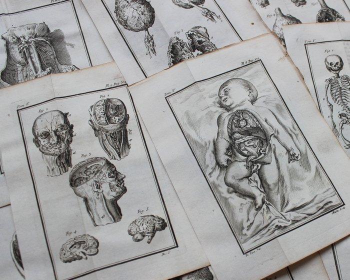 Jacques de Sève (1715 – 1795) - Human Anatomy - Collection, Antiek en Kunst, Antiek | Boeken en Bijbels