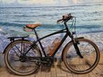 Riese Muller Cruiser2 Vario, 160-178cm, beltdrive, Bosch, 51 tot 55 cm, Ophalen of Verzenden, Zo goed als nieuw, Riese & Müller