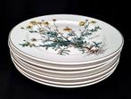 Villeroy & Boch - Tafelservies - 1.Wahl! Botanica 6 x Bord