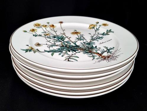 Villeroy & Boch - Tafelservies - 1.Wahl! Botanica 6 x Bord, Antiek en Kunst, Antiek | Meubels | Tafels