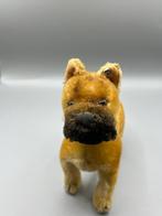 Steiff - Speelgoed Bulldogge Bully - 1950-1960 - Duitsland, Antiek en Kunst