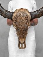 Geen veilingprijs - Prachtige grote bruine, Antiek en Kunst