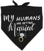 Honden bandana Big Brother wit met zwarte tekst, Verzenden, Nieuw