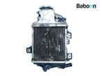 Radiateur Honda SH 125 2013-2016 (SH125), Motoren, Verzenden, Gebruikt