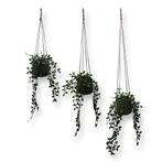 Voordeelset van 3 Plantenhangers Zonder Kwast - Olijfgroen, Ophalen of Verzenden, Nieuw