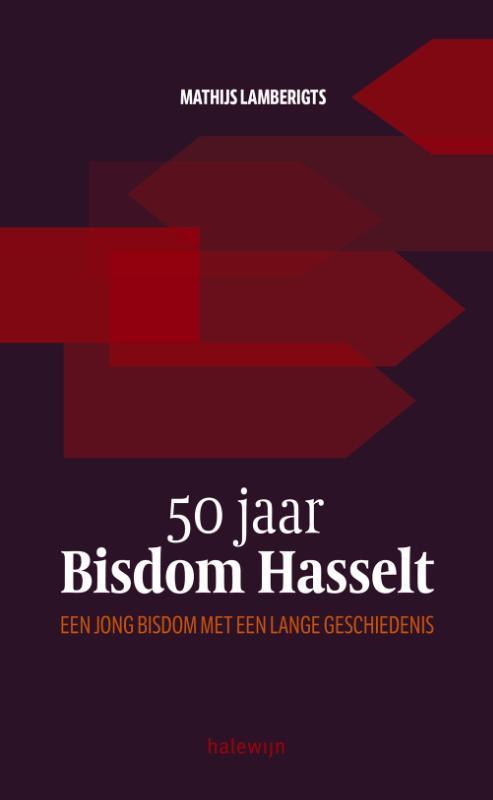 50 jaar bisdom Hasselt 9789085284376 Mathijs Lamberigts, Boeken, Godsdienst en Theologie, Zo goed als nieuw, Verzenden