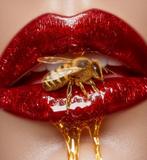 La Chibroneuse - Honey Lips - XL