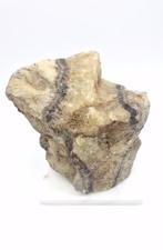Septarie Ruw Staand (Drakenei), Verzamelen, Ophalen of Verzenden