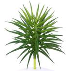 12. 5cm. ARTIFICIAL SUCCULENT GREEN 868685 Succulent, Ophalen of Verzenden, Nieuw