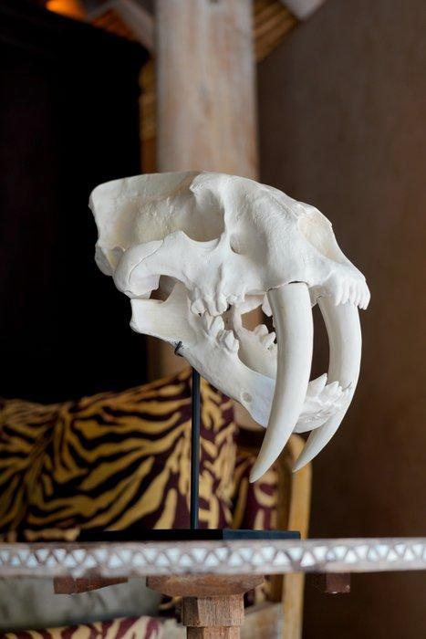 Geen minimale veilingprijs - Een replica van een, Antiek en Kunst, Curiosa en Brocante