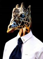 Bonaschi (1959) - Poltrona n°121221