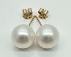 Zonder Minimumprijs - South Sea Pearls, Round, 10 -11 mm -