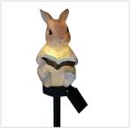 Solar LED Konijn met boek - Met schemersensor en prikpen, Ophalen of Verzenden, Nieuw