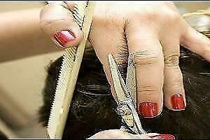 Kapper Opleiding Dames Heren Combi Kappers Cursus Knippen beschikbaar voor biedingen