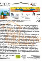 Hysop Hysop Zaden: Kweek Heerlijke, Aromatische Adem- en, Tuin en Terras, Verzenden